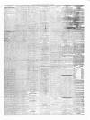 Carlow Sentinel Saturday 13 October 1855 Page 3