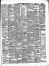 Carlow Sentinel Saturday 30 July 1859 Page 3