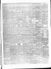 Carlow Sentinel Saturday 15 February 1862 Page 3