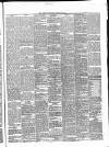 Carlow Sentinel Saturday 16 January 1864 Page 3
