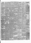 Carlow Sentinel Saturday 15 April 1865 Page 3