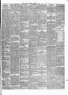 Carlow Sentinel Saturday 29 April 1865 Page 3