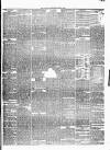 Carlow Sentinel Saturday 03 June 1865 Page 3