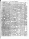 Carlow Sentinel Saturday 04 November 1865 Page 3