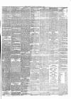 Carlow Sentinel Saturday 11 November 1865 Page 3