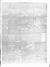 Carlow Sentinel Saturday 25 January 1868 Page 3