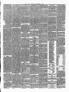 Carlow Sentinel Saturday 26 December 1868 Page 3