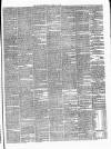 Carlow Sentinel Saturday 14 March 1874 Page 3