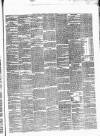 Carlow Sentinel Saturday 16 January 1875 Page 3
