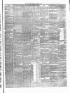 Carlow Sentinel Saturday 17 April 1875 Page 3