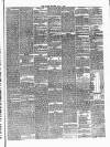 Carlow Sentinel Saturday 01 May 1875 Page 3