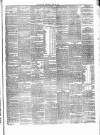 Carlow Sentinel Saturday 29 May 1875 Page 3