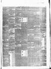 Carlow Sentinel Saturday 03 July 1875 Page 3