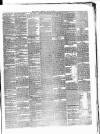 Carlow Sentinel Saturday 24 July 1875 Page 3