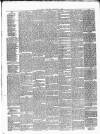 Carlow Sentinel Saturday 01 January 1876 Page 4