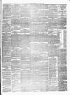 Carlow Sentinel Saturday 17 June 1876 Page 3