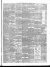 Carlow Sentinel Saturday 03 February 1877 Page 3