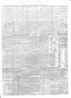 Carlow Sentinel Saturday 19 January 1878 Page 3