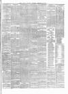 Carlow Sentinel Saturday 23 February 1878 Page 3