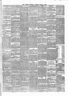 Carlow Sentinel Saturday 06 April 1878 Page 3