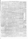 Carlow Sentinel Saturday 01 June 1878 Page 3