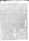 Carlow Sentinel Saturday 14 December 1878 Page 3