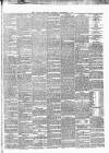 Carlow Sentinel Saturday 28 December 1878 Page 3