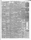 Carlow Sentinel Saturday 01 March 1879 Page 3