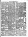 Carlow Sentinel Saturday 22 March 1879 Page 3