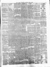 Carlow Sentinel Saturday 29 May 1880 Page 3