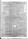 Carlow Sentinel Saturday 11 April 1885 Page 3