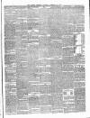 Carlow Sentinel Saturday 13 February 1886 Page 3