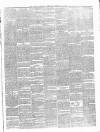 Carlow Sentinel Saturday 26 February 1887 Page 3