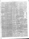 Carlow Sentinel Saturday 16 July 1887 Page 3