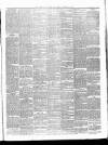 Carlow Sentinel Saturday 08 October 1887 Page 3