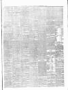 Carlow Sentinel Saturday 08 September 1888 Page 3