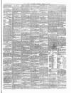 Carlow Sentinel Saturday 28 January 1893 Page 3