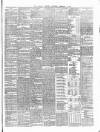 Carlow Sentinel Saturday 04 February 1893 Page 3