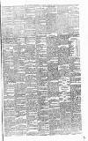 Carlow Sentinel Saturday 26 January 1895 Page 3