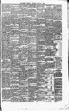 Carlow Sentinel Saturday 04 January 1896 Page 3