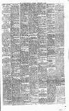 Carlow Sentinel Saturday 24 February 1900 Page 3