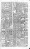 Carlow Sentinel Saturday 14 April 1900 Page 3