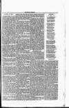 Meath Herald and Cavan Advertiser Saturday 11 April 1846 Page 3