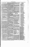 Meath Herald and Cavan Advertiser Saturday 18 April 1846 Page 3