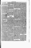 Meath Herald and Cavan Advertiser Saturday 19 September 1846 Page 3