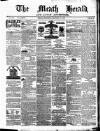 Meath Herald and Cavan Advertiser Saturday 31 January 1880 Page 1
