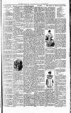 Meath Herald and Cavan Advertiser Saturday 06 April 1895 Page 3