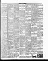 Meath Herald and Cavan Advertiser Saturday 01 September 1917 Page 3