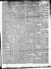 Meath Herald and Cavan Advertiser Saturday 07 February 1925 Page 3