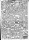 Meath Herald and Cavan Advertiser Saturday 28 February 1931 Page 7